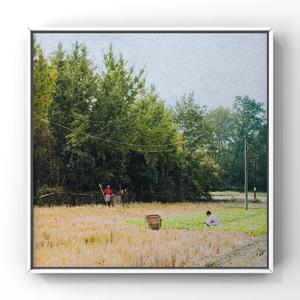 大肉大捧一进一出好爽作文
